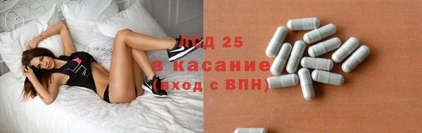 шишки Абинск