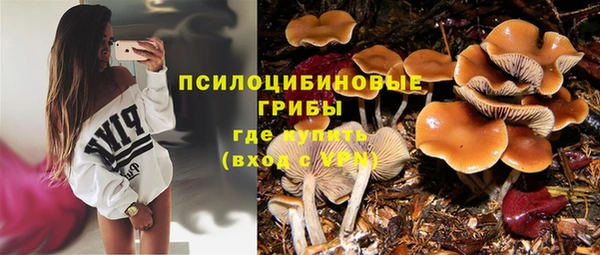 шишки Абинск