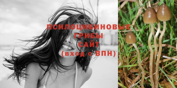 стаф Абдулино