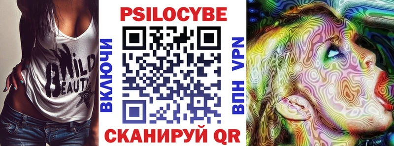 omg маркетплейс  Новочебоксарск  Псилоцибиновые грибы прущие грибы  купить закладку 